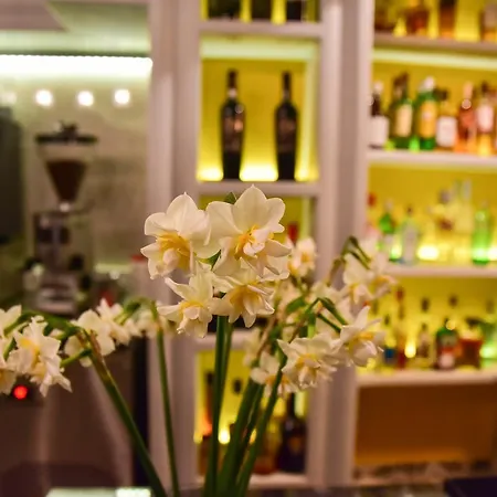 伊利达诺斯酒店