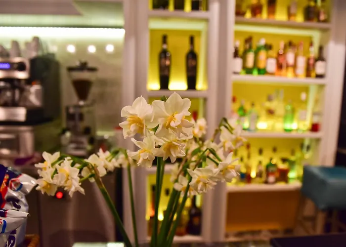 伊利达诺斯酒店