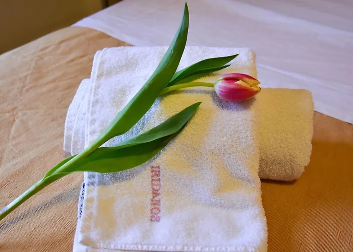 伊利达诺斯酒店