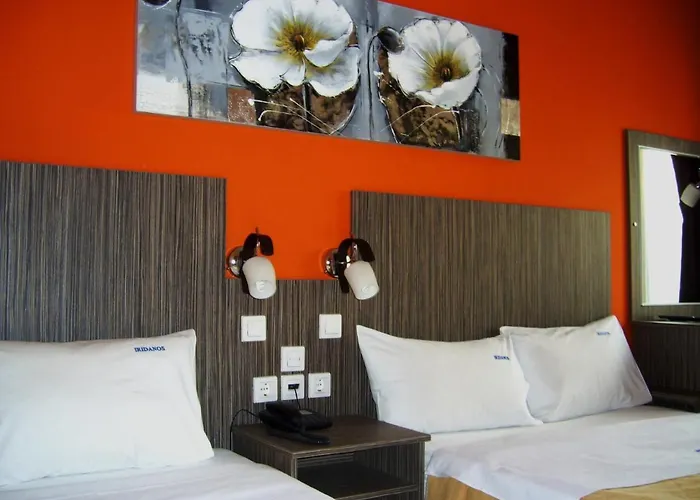 酒店 伊利达诺斯酒店 安迪基拉